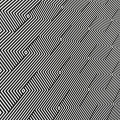 IMG_4544.jpeg